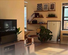 Living room with shelves, a TV, and plants